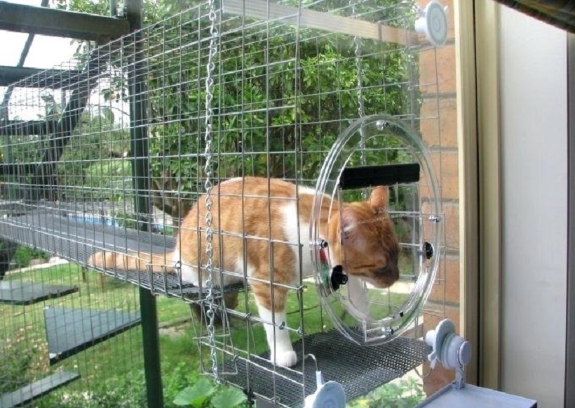 portable cat enclosures