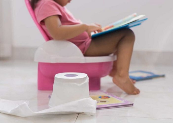 Portable Potty Seat for Kids