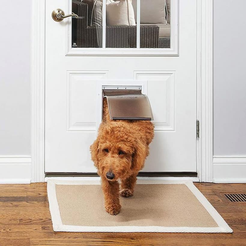 Install a Dog Door