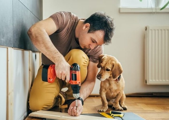 Make Your Home More Pet-Friendly