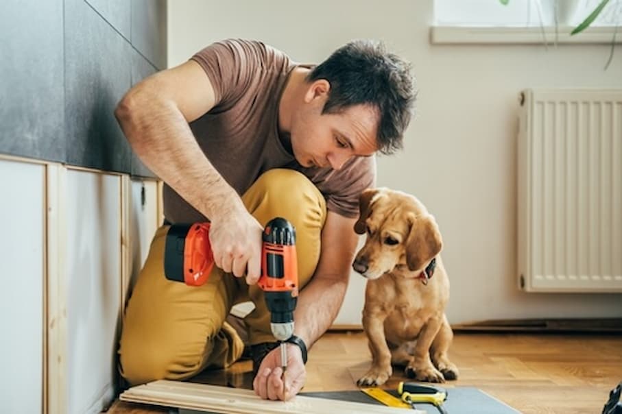 Make Your Home More Pet-Friendly