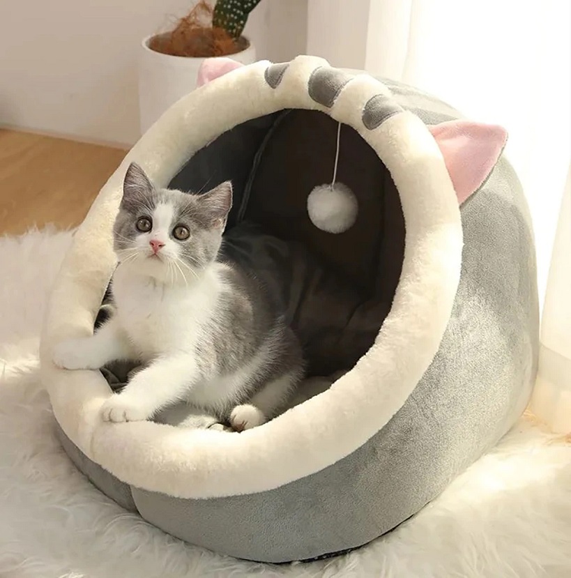 igloo cat bed